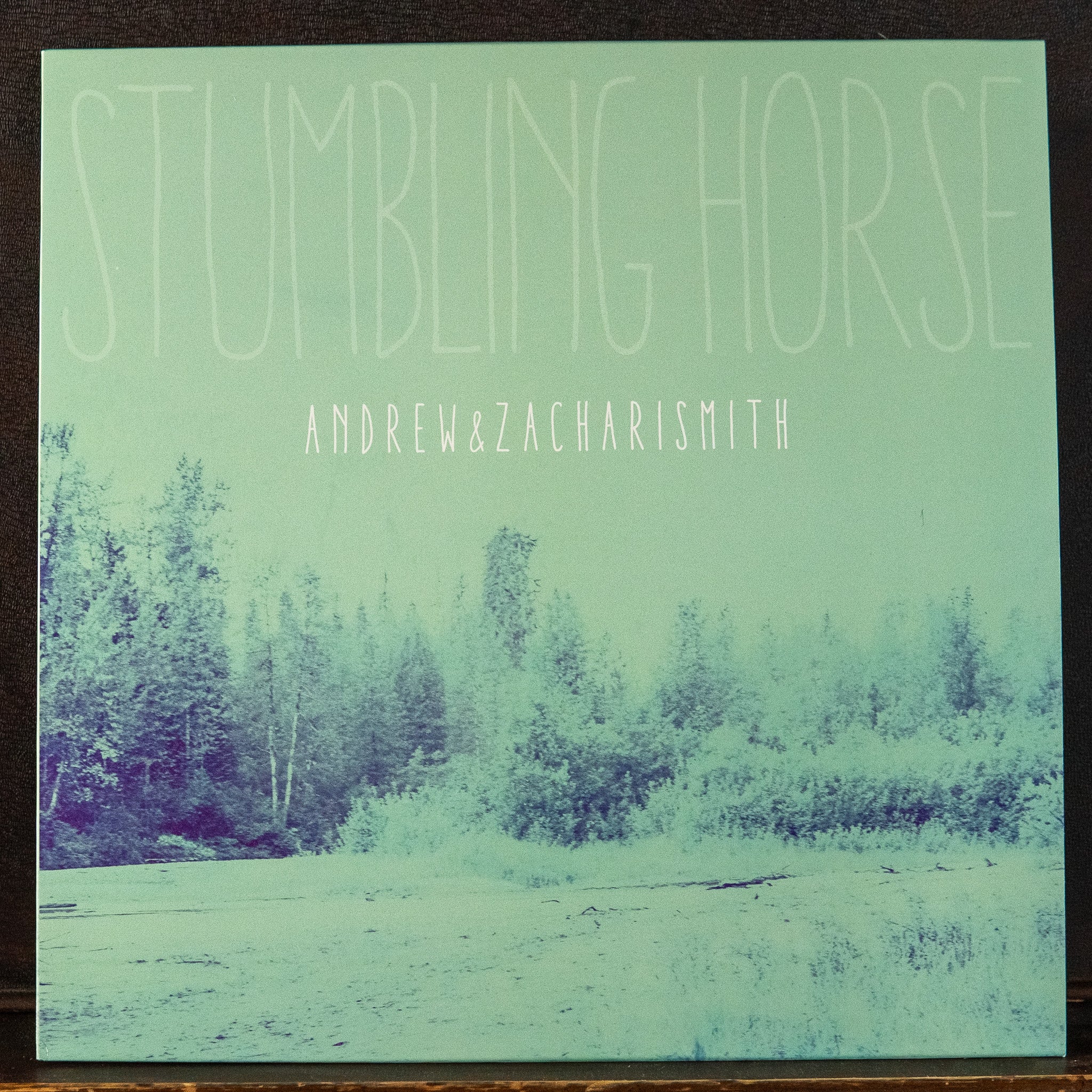 Stumbling Horse - Andrew and Zachari Smith (Vinyl)