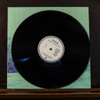 Stumbling Horse - Andrew and Zachari Smith (Vinyl)